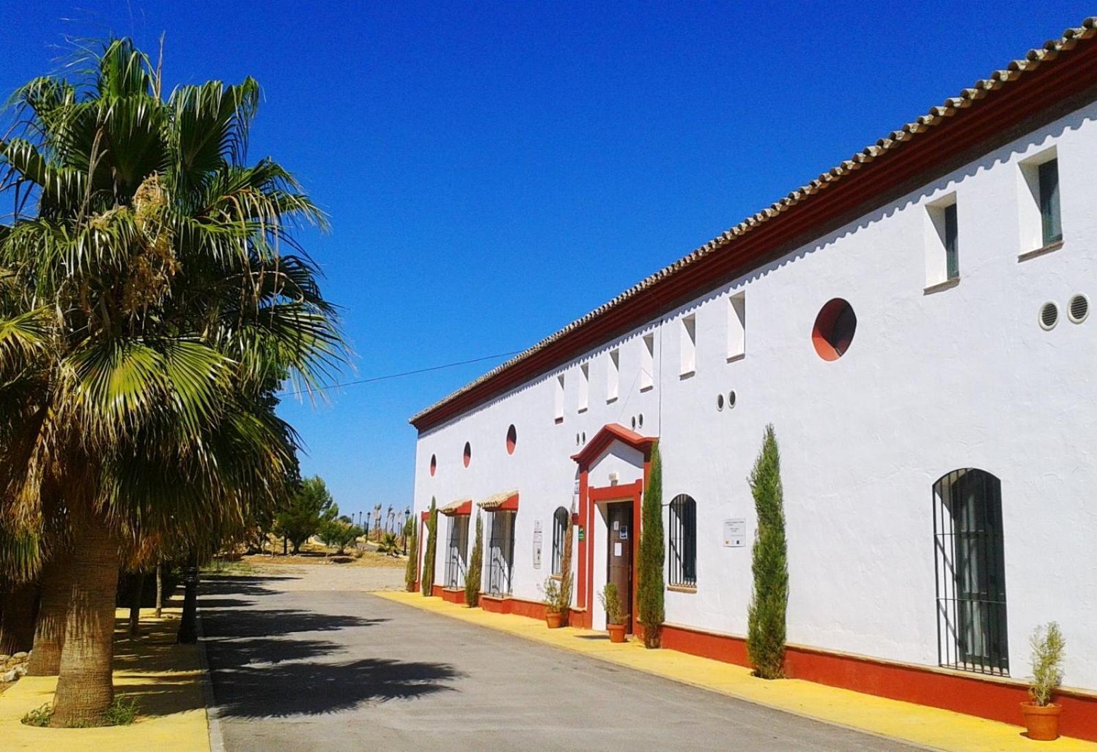 Hotel Complejo Pueblo Blanco Olvera Exteriér fotografie